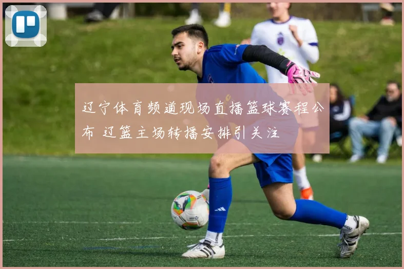 辽宁体育频道现场直播篮球赛程公布 辽篮主场转播安排引关注