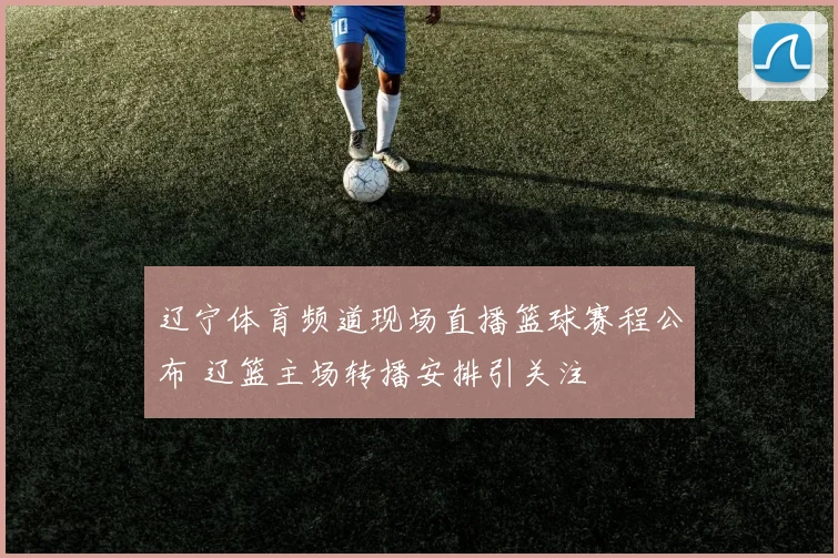 辽宁体育频道现场直播篮球赛程公布 辽篮主场转播安排引关注