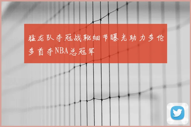 猛龙队夺冠战靴细节曝光助力多伦多首夺NBA总冠军