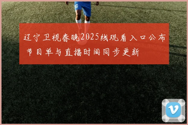辽宁卫视春晚2025线观看入口公布 节目单与直播时间同步更新