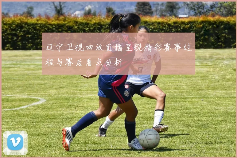 辽宁卫视回放直播呈现精彩赛事过程与赛后看点分析