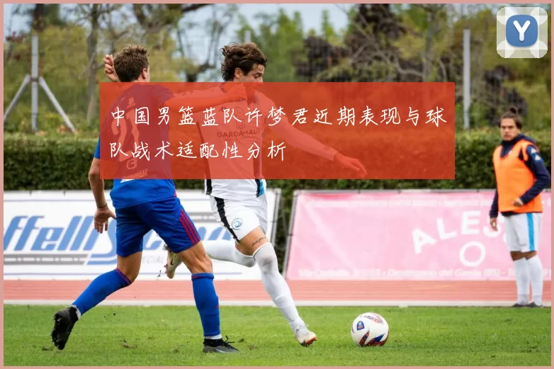 中国男篮蓝队许梦君近期表现与球队战术适配性分析