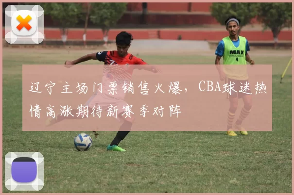辽宁主场门票销售火爆，CBA球迷热情高涨期待新赛季对阵