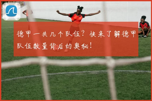德甲一共几个队伍？快来了解德甲队伍数量背后的奥秘！