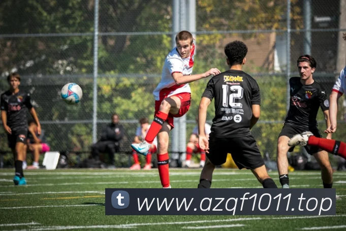 开云股份有限公司 - (中国大陆)Kaiyun·官方网站平台生态图